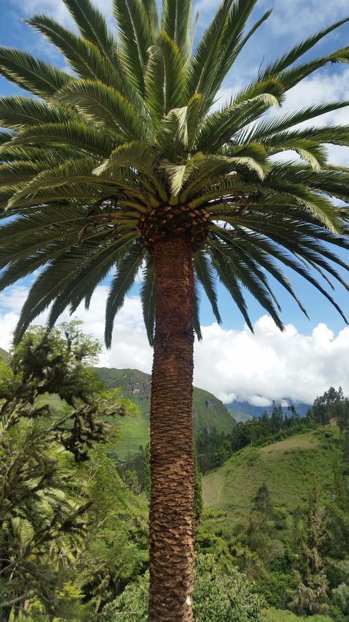 El Encanto Sorata Esterno foto
